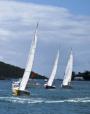 St Thomas, VI  Sailboat race.jpg